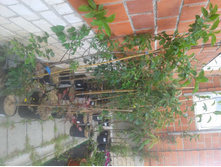 ����� 2015�.