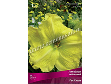 �������� ��� �����.jpg