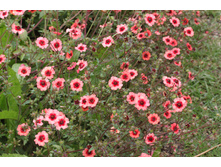 �������� ���������� ���� ��������.120