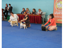 1-IMG 7005.JPG