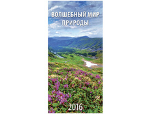 ��������� ������. �������. �� ������ ���� -��������� ��� �������, 16,5-34 ��, � �������, 2016 �. 38,5.jpg