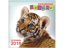 ��������� ������. �������. �� ������� 12�. �������� ������, 23-23,5 ��, 2016 �. 36,5.jpg