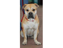 � ������ �����)