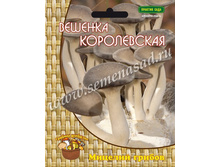 ������� ����������� (12 ��.).jpg