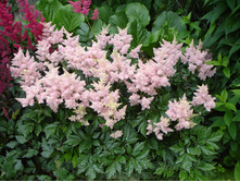 �������� ���������.110