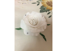 ���� �� ����