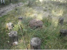 ���������� �����������.