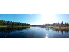 IMG 20150820 154544.jpg