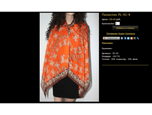 �������� PL-41-4.bmp