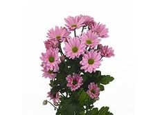 ���������� ������� ��������� 60 ��