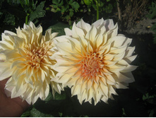 №4 ���� � ����.jpg