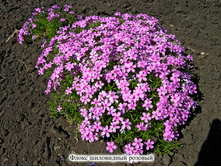 ����� ����������