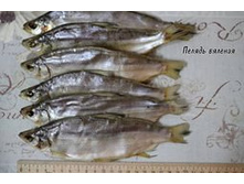 ������ ��� ������