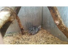 ������� 1