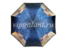 ������� ���� Dolphin 1348 (1).jpg