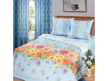 Raduga cvetov gol s kompanonom.jpg