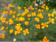 DSCN1002.JPG