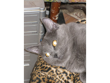 IMG 7821.JPG