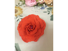 ���� �� ����