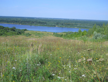 DSCN1579.JPG