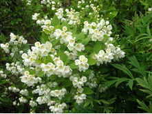 ��������.