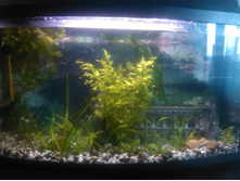 IMG 20150830 132735.jpg