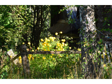 ����������� �����