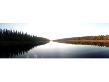 IMG 20150821 200606.jpg