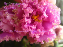 ��-��������� �������