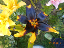 DSCN1128.JPG