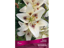 ����� ����������.jpg