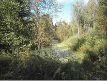 ����� � ����.