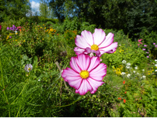 P1040159.JPG ������