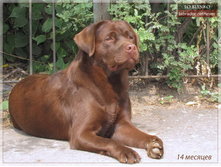 ������� ������ �� ������ ����� �� ��