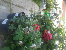 ����� 2015�.