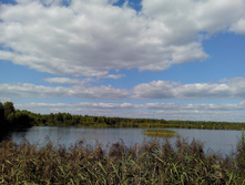 IMG 20150822 131409.jpg