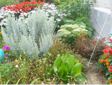 16.08.2015 P8160177.JPG