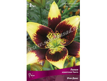 ����� ��� ����.jpg