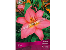 ����� �������.jpg