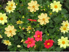 ������� ������