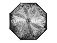 ������� ���� Dolphin 1348 (5).jpg