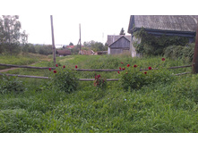 ������ 2015�.