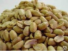 ������ �����