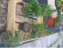 ����� 2015�.