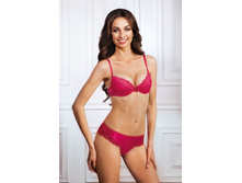 500x500.CISS Poppy.jpg