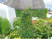 16.08.2015 P8160168.JPG