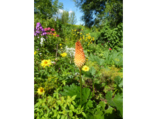 P1040162.JPG ��������