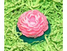 ���� - 170 ���.