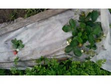 IMG 20150801 110154.jpg