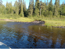 IMG 20150820 161843.jpg